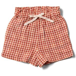 Little Green Radicals Check Baby Kids 100% Organic Cotton Shorts - - Size: 4-5y Little Green Radicals Check Baby Kids 100% Organic Cotton Shorts - - Size: 4-5y