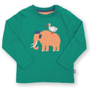 Kite Clothing Baby/Kids 100% Organic Cotton Applique T-Shirt - Kite Clothing Baby/Kids 100% Organic Cotton Applique T-Shirt -