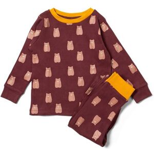Little Green Radicals Bears Baby Kids 100% Organic Cotton Pyjamas - Little Green Radicals Bears Baby Kids 100% Organic Cotton Pyjamas -
