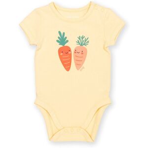 Kite Clothing Baby 95% Organic Cotton Short Sleeve Bodysuit - Kite Clothing Baby 95% Organic Cotton Short Sleeve Bodysuit -