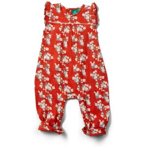 Little Green Radicals Rabbit Baby 100% Organic Cotton Frill Romper - - Size: 3-6m Little Green Radicals Rabbit Baby 100% Organic Cotton Frill Romper - - Size: 3-6m