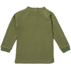 Little Green Radicals Baby Kids 100% Organic Cotton LS Cosy Top - Little Green Radicals Baby Kids 100% Organic Cotton LS Cosy Top -