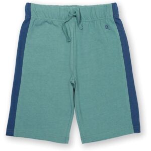 Kite Clothing Corfe Baby/Kids 100% Organic Cotton Shorts - - Size: 12-18m Kite Clothing Corfe Baby/Kids 100% Organic Cotton Shorts - - Size: 12-18m