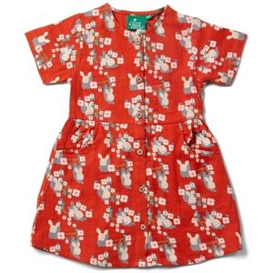 Little Green Radicals Rabbit Kids 100% Organic Cotton Button Dress - - Size: 3-4y Little Green Radicals Rabbit Kids 100% Organic Cotton Button Dress - - Size: 3-4y