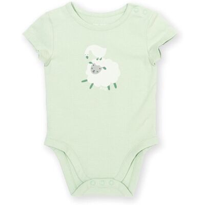 Kite Clothing Baby 95% Organic Cotton Short Sleeve Bodysuit - Kite Clothing Baby 95% Organic Cotton Short Sleeve Bodysuit -