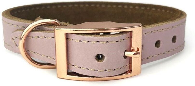HugglePets Luxury Padded Leather Dog Collar - - Size: XL
