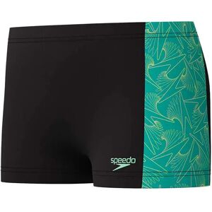 Speedo Hyperboom Pannel Swimming Shorts Alfalfa Green 9-10 Years Boys Speedo Hyperboom Pannel Swimming Shorts Alfalfa Green 9-10 Years Boys