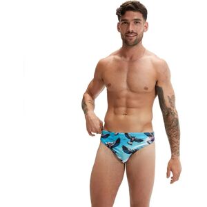 Speedo Fundies 5 Cm Swimming Brief Picton Blue / Wineberry / Black UK 32 Men Speedo Fundies 5 Cm Swimming Brief Picton Blue / Wineberry / Black UK 32 Men