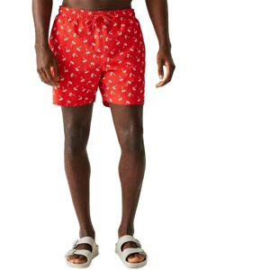 Regatta Loras Swimming Shorts Poppy Red Palm Series XL Men Regatta Loras Swimming Shorts Poppy Red Palm Series XL Men