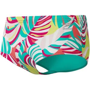 Speedo Ml Printed 13.5 Cm Swimming Brief Fronds / Turquoise Gem UK 30 Men Speedo Ml Printed 13.5 Cm Swimming Brief Fronds / Turquoise Gem UK 30 Men