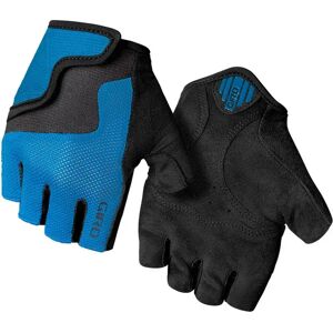 Giro Bravo Short Gloves Blue L Boys,Girls Giro Bravo Short Gloves Blue L Boys,Girls