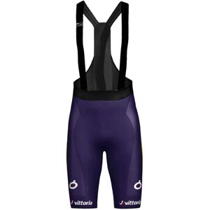 Wilier Vittoria Shorts Multicolor XL Men Wilier Vittoria Shorts Multicolor XL Men