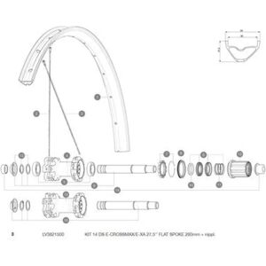 Mavic E-crossmax/e-xa 27.5 Rear Right Spokes 14 Units Black 280 mm unisex Mavic E-crossmax/e-xa 27.5 Rear Right Spokes 14 Units Black 280 mm unisex