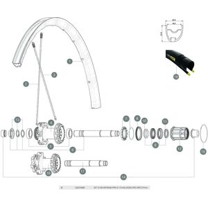 Mavic Ksyrium Pro Allroad 2016 Rear Spokes 12 Units Black 276 mm unisex Mavic Ksyrium Pro Allroad 2016 Rear Spokes 12 Units Black 276 mm unisex