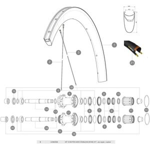Mavic Cosmic Pro Carbon 2017-19 Rear Right Spokes 12 Units Black 277 mm unisex Mavic Cosmic Pro Carbon 2017-19 Rear Right Spokes 12 Units Black 277 mm unisex