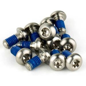 Sram Rotor Bolt Titanium T25 Chainring Screw Set 12 Units Silver One Size unisex Sram Rotor Bolt Titanium T25 Chainring Screw Set 12 Units Silver One Size unisex