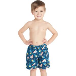 Zoggs Swimming Shorts Surfer Shark 6 Years Boys Zoggs Swimming Shorts Surfer Shark 6 Years Boys