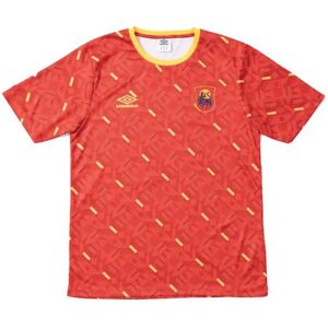 Umbro Spain All Over Print World Cup 2022 Short Sleeve T-shirt High Risk Red XL Men,Women Umbro Spain All Over Print World Cup 2022 Short Sleeve T-shirt High Risk Red XL Men,Women