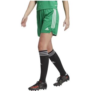 Adidas Tiro 23 Lw Shorts Team Green / White 2XL Women Adidas Tiro 23 Lw Shorts Team Green / White 2XL Women