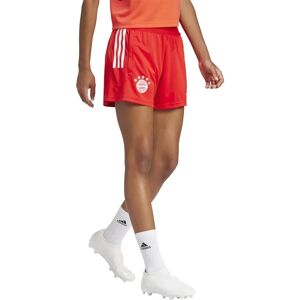 Adidas Fc Bayern Munich 23/24 Training Woman Shorts Red / Bright Red / White S Women Adidas Fc Bayern Munich 23/24 Training Woman Shorts Red / Bright Red / White S Women