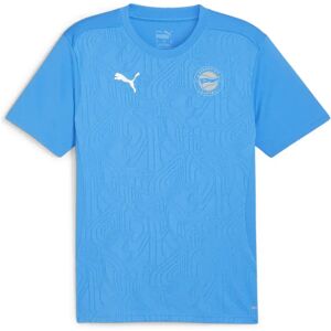 Puma Deportivo Alavs Team Final 24/25 Training Short Sleeve T-shirt Ignite Blue / Silver L Men,Women Puma Deportivo Alavs Team Final 24/25 Training Short Sleeve T-shirt Ignite Blue / Silver L Men,Women