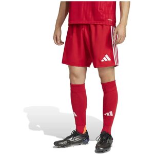 Adidas Tastigo 25 Herren rot M - Shorts Adidas Tastigo 25 Herren rot M - Shorts