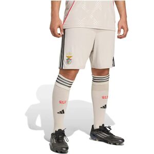 Adidas Benfica 25/26 Shorts - Short Adidas Benfica 25/26 Shorts - Short