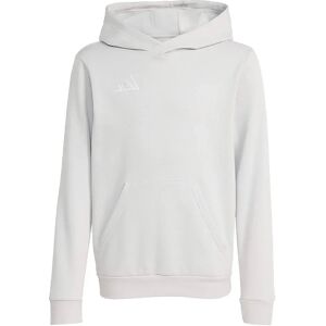 Adidas Entrada 26 Hoodie Team Light Grey / White 13-14 Years Boys,Girls Adidas Entrada 26 Hoodie Team Light Grey / White 13-14 Years Boys,Girls