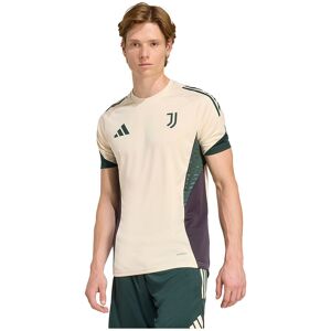 Adidas Juventus Tiro 25/26 Competition Training Short Sleeve T-shirt Ecru Tint S Men