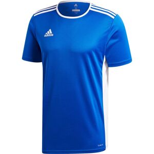 Adidas Entrada 18 Short Sleeve T-shirt M Bold Blue / White