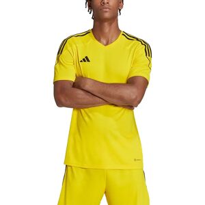Adidas Tiro 23 Short Sleeve T-shirt Team Yellow / Black S Men Adidas Tiro 23 Short Sleeve T-shirt Team Yellow / Black S Men