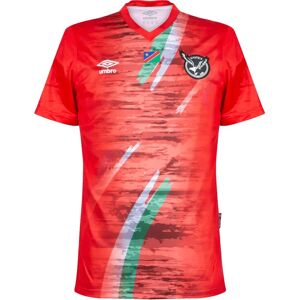 Umbro Namibia 23/24 Replica Away Short Sleeve T-shirt Grey L Men Umbro Namibia 23/24 Replica Away Short Sleeve T-shirt Grey L Men