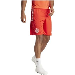 Adidas Fc Bayern Munich 23/24 Training Shorts Red / Bright Red / White L Men Adidas Fc Bayern Munich 23/24 Training Shorts Red / Bright Red / White L Men