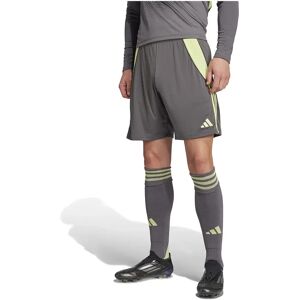 Adidas Tiro 24 Shorts Grey Five / Pulse Lime XL Men Adidas Tiro 24 Shorts Grey Five / Pulse Lime XL Men