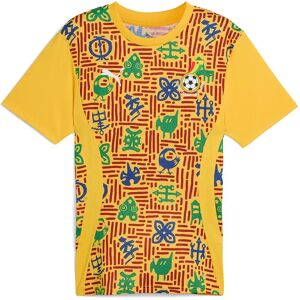 PUMA Ghana Training Shirt - Football Jersey for Men PUMA Ghana Training Shirt - Football Jersey for Men