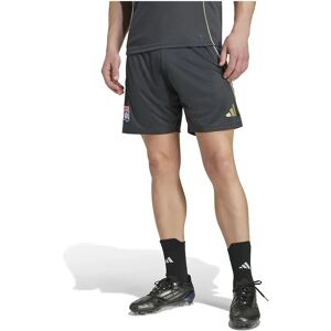 Adidas Olympique Lyonnais Tiro 25/26 Competition Training Shorts Carbon / Hazy Beige L Men Adidas Olympique Lyonnais Tiro 25/26 Competition Training Shorts Carbon / Hazy Beige L Men