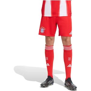 Adidas Fc Bayern 25/26 Home Shorts Red XS Men Adidas Fc Bayern 25/26 Home Shorts Red XS Men