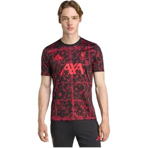 Adidas Liverpool Fc 25/26 Pre Match Short Sleeve T-shirt Black / Pure Ruby XL Men Adidas Liverpool Fc 25/26 Pre Match Short Sleeve T-shirt Black / Pure Ruby XL Men