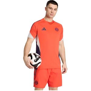 Adidas Fc Bayern Munich 25/26 Tiro Competition Training Short Sleeve T-shirt Hi-Res Red 3XL Men Adidas Fc Bayern Munich 25/26 Tiro Competition Training Short Sleeve T-shirt Hi-Res Red 3XL Men