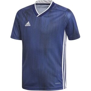 Adidas Tiro 19 Short Sleeve T-shirt Dark Blue / White 13-14 Years Boys Adidas Tiro 19 Short Sleeve T-shirt Dark Blue / White 13-14 Years Boys