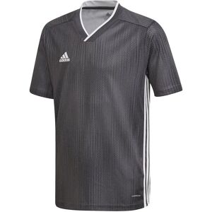 Adidas Tiro 19 Short Sleeve T-shirt Solid Grey / White 13-14 Years Boys Adidas Tiro 19 Short Sleeve T-shirt Solid Grey / White 13-14 Years Boys