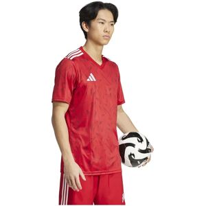 Adidas Team Icon 25 Short Sleeve T-shirt Team Power Red 2 S Men Adidas Team Icon 25 Short Sleeve T-shirt Team Power Red 2 S Men