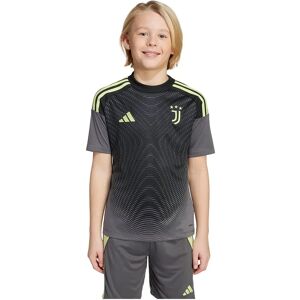 Adidas Juventus 25/26 Goalkeeper Home Junior Short Sleeve T-shirt Grey Five 15-16 Years Boys,Girls Adidas Juventus 25/26 Goalkeeper Home Junior Short Sleeve T-shirt Grey Five 15-16 Years Boys,Girls