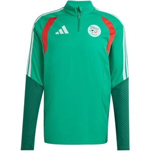 Adidas Algeria 26/27 Training Sweatshirt Court Green S Men Adidas Algeria 26/27 Training Sweatshirt Court Green S Men