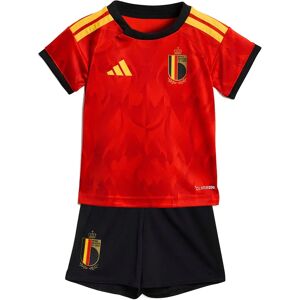 Adidas Belgium 26/27 Baby Home Junior Set Red / Bold Gold 3-6 Months Boys,Girls Adidas Belgium 26/27 Baby Home Junior Set Red / Bold Gold 3-6 Months Boys,Girls