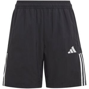 Adidas Tiro 23 Competition Downtime Shorts Black 7 Years Boys,Girls