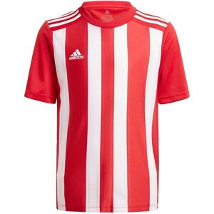 Adidas Striped 21 Short Sleeve T-shirt Team Power Red / White 7-8 Years Boys,Girls Adidas Striped 21 Short Sleeve T-shirt Team Power Red / White 7-8 Years Boys,Girls