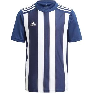 Adidas Striped 21 Short Sleeve T-shirt Team Navy Blue / White 11-12 Years Boys Adidas Striped 21 Short Sleeve T-shirt Team Navy Blue / White 11-12 Years Boys