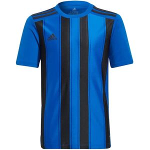 Adidas Striped 21 Short Sleeve T-shirt Team Royal Blue / Black 11-12 Years Boys Adidas Striped 21 Short Sleeve T-shirt Team Royal Blue / Black 11-12 Years Boys