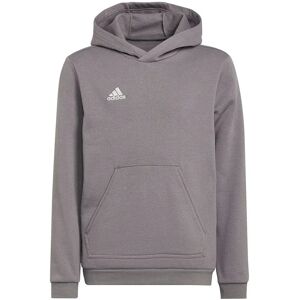 Adidas Entrada 22 Hoodie Team Grey Four 7-8 Years Boys,Girls Adidas Entrada 22 Hoodie Team Grey Four 7-8 Years Boys,Girls
